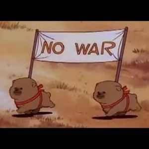 Meet your Posher, Cami